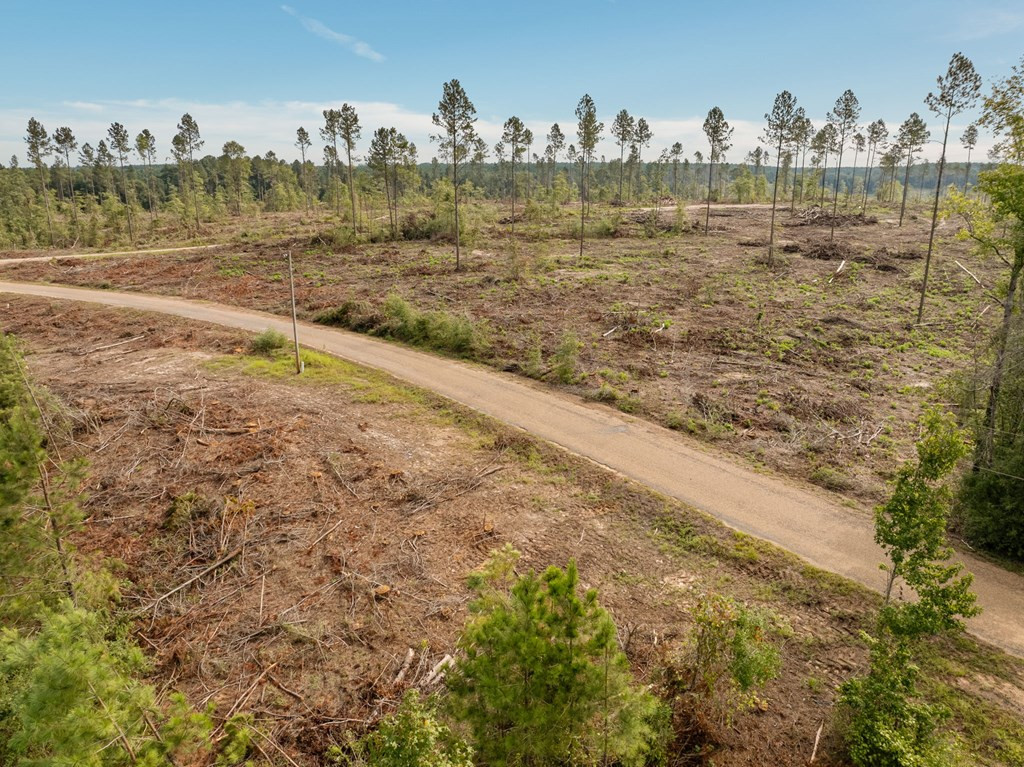 10 Lucas Hollow Road Mount Olive, MS 39119 - Photo 6 of 10 Photo 6