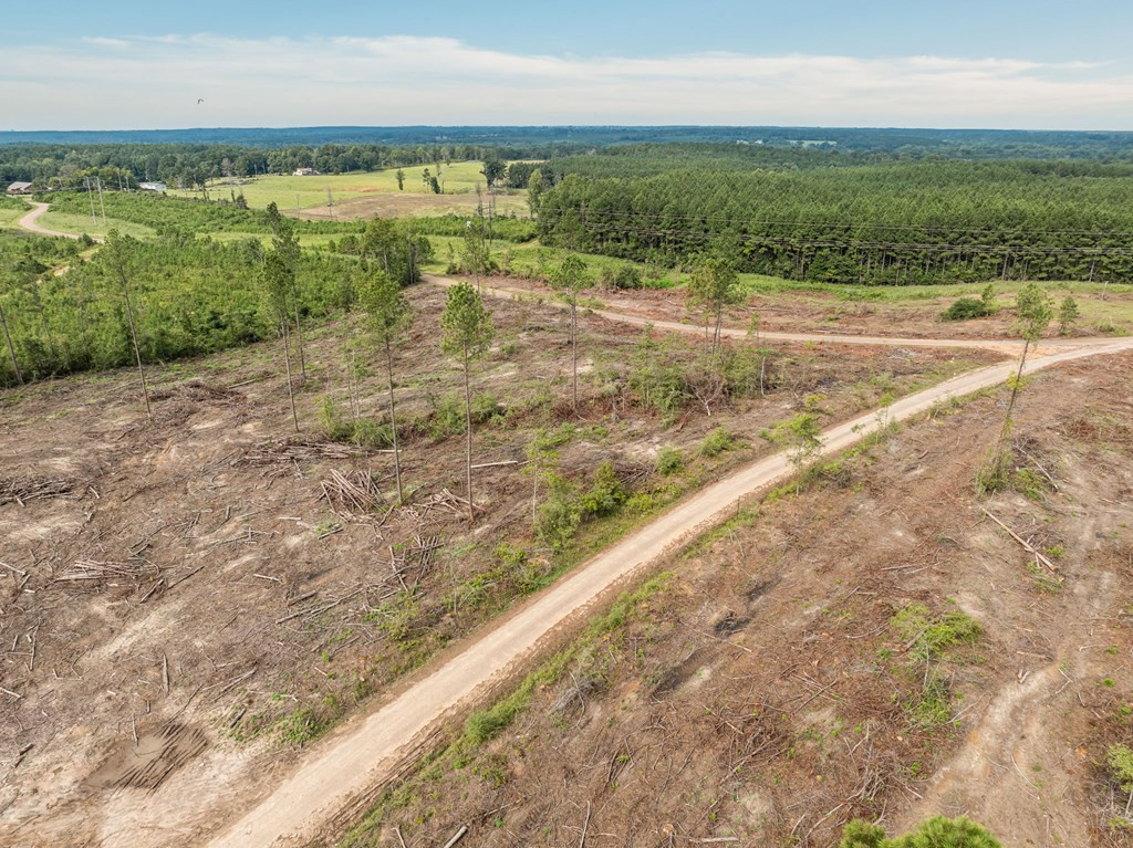 10 Lucas Hollow Road Mount Olive, MS 39119 - Photo 7 of 10 Photo 7