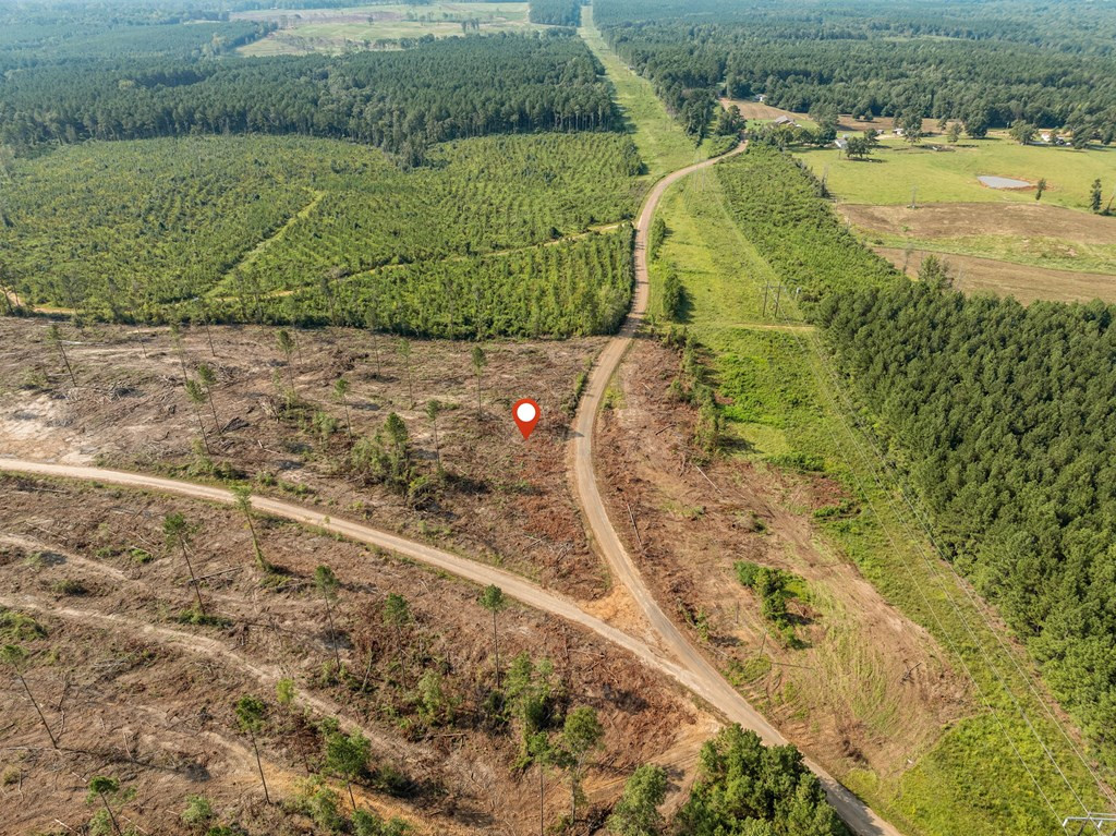10 Lucas Hollow Road Mount Olive, MS 39119 - Photo 8 of 10 Photo 8