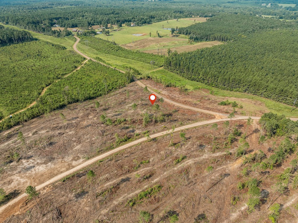 10 Lucas Hollow Road Mount Olive, MS 39119 - Photo 9 of 10 Photo 9