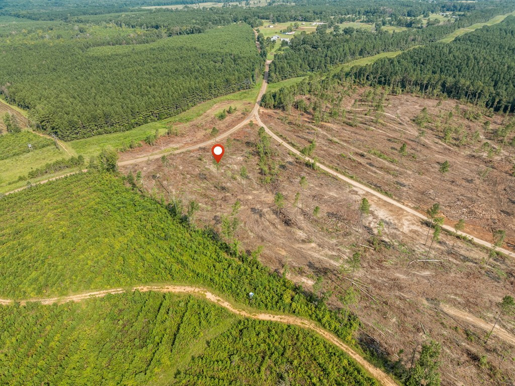 10 Lucas Hollow Road Mount Olive, MS 39119 - Photo 10 of 10 Photo 10