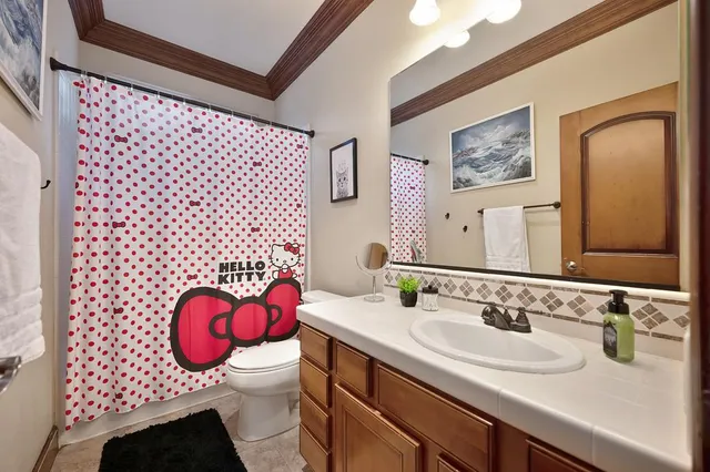 a bathroom with a sink a toilet and a mirror