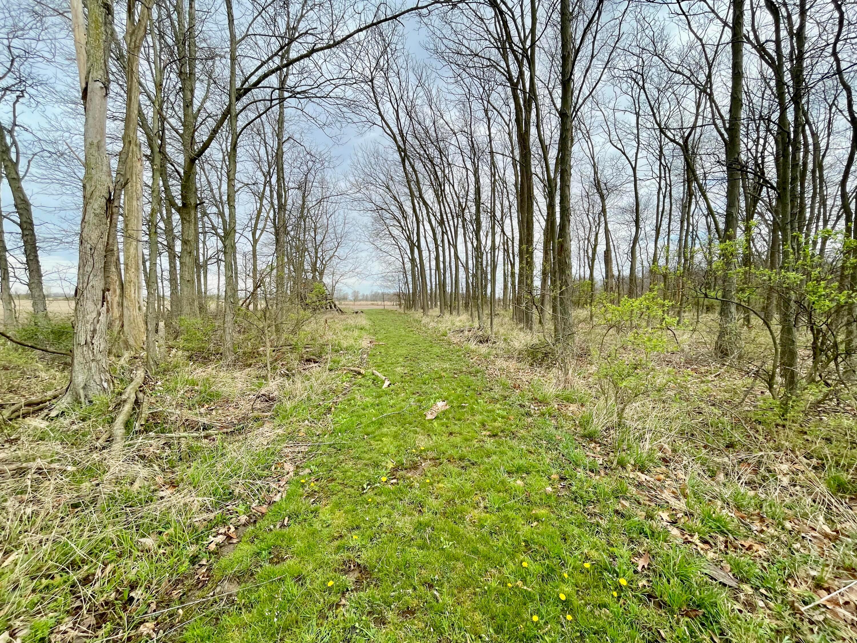 0 Taylor Road Plain City, OH 43064 - Photo 5 of 8 fullsizeoutput_332c