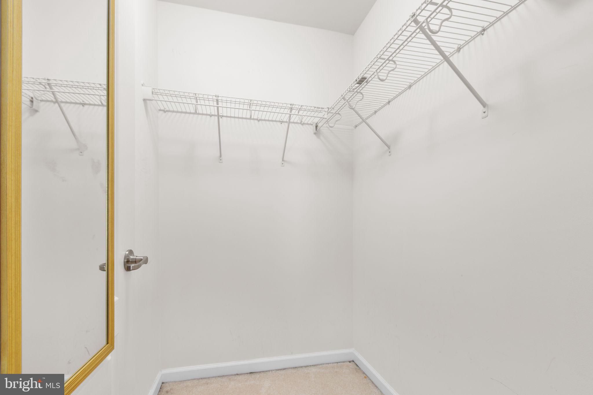 213 Hidden Brook Drive Fredericksburg, VA 22405 - Photo 38 of 55 Primary bedroom closet