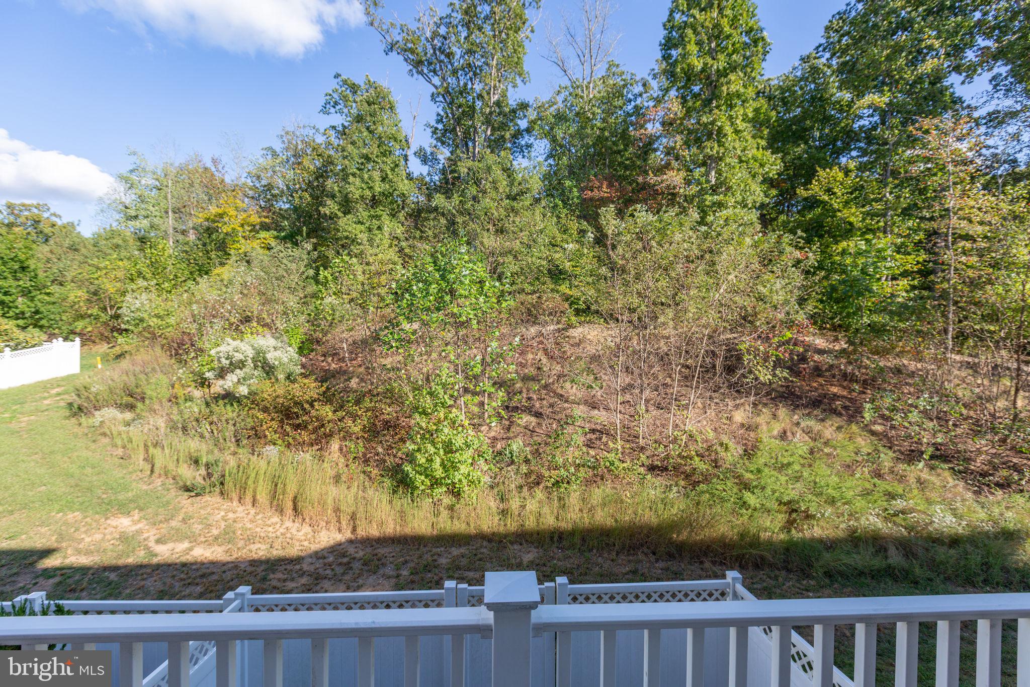 213 Hidden Brook Drive Fredericksburg, VA 22405 - Photo 43 of 55 Rear view