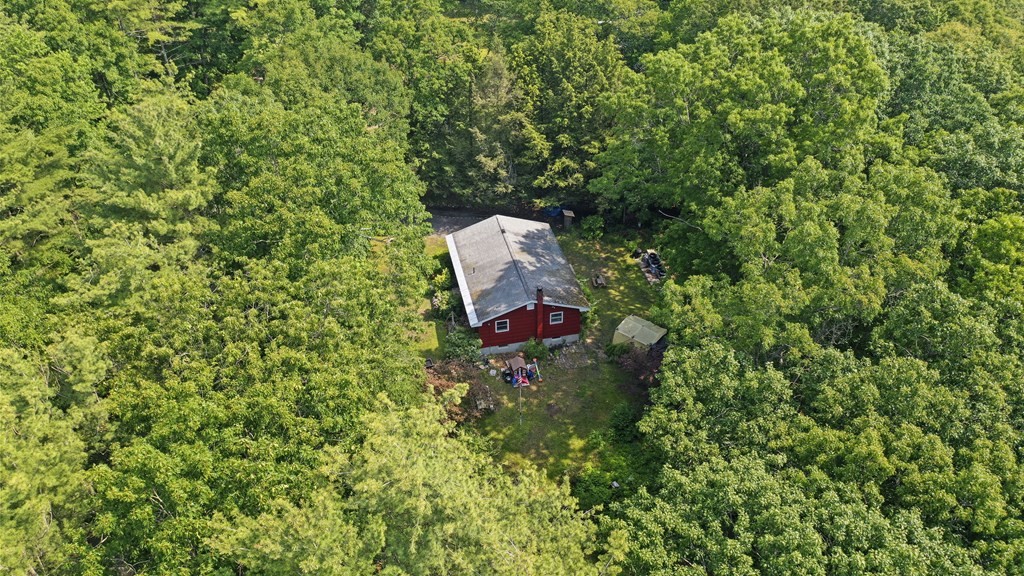9 Number 6 Road Leverett, MA 01054 - Photo 24 of 26 a view of a garden