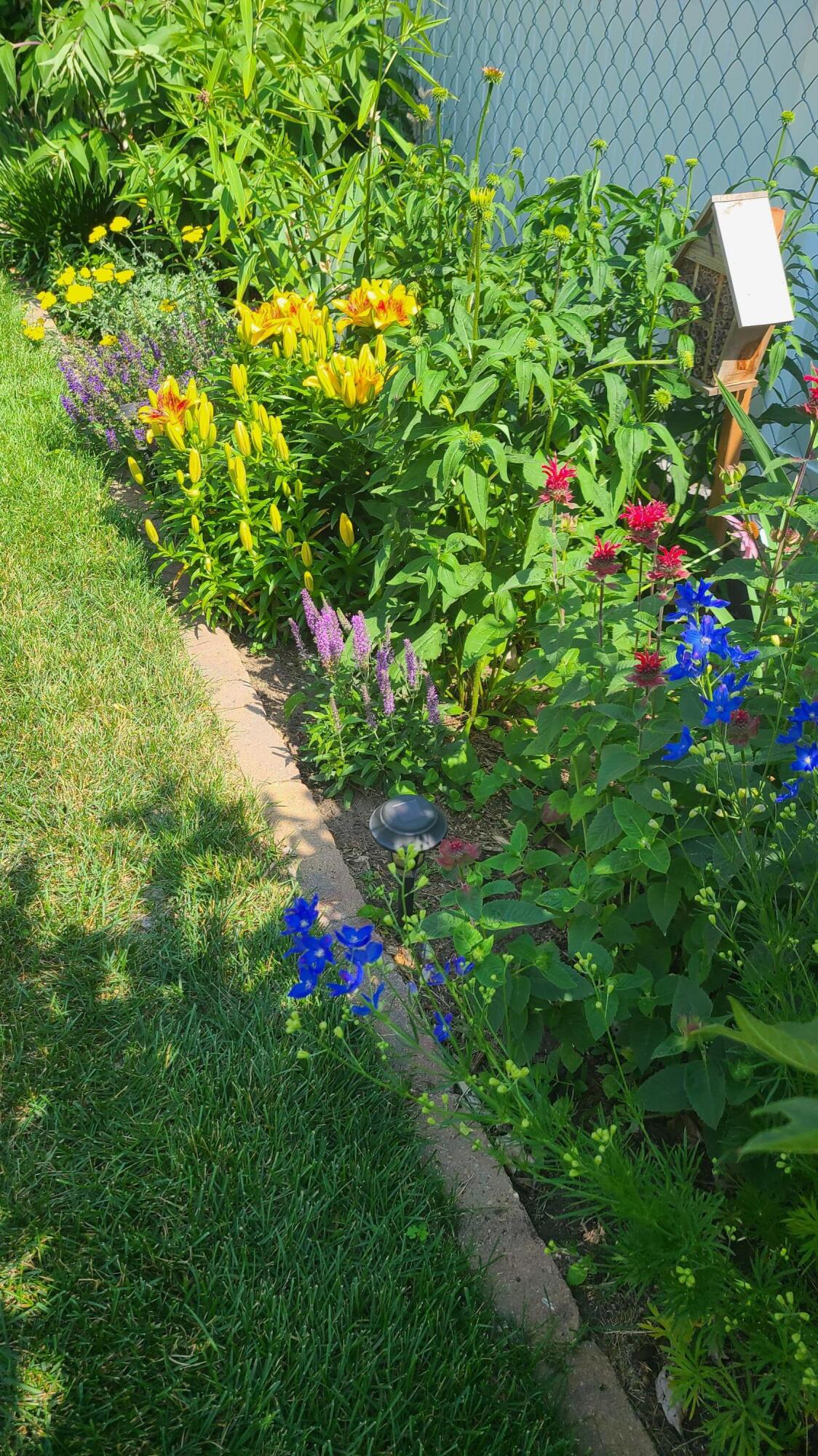 1212 7th Street South La Crosse, WI 54601 - Photo 31 of 37 summer landscaping