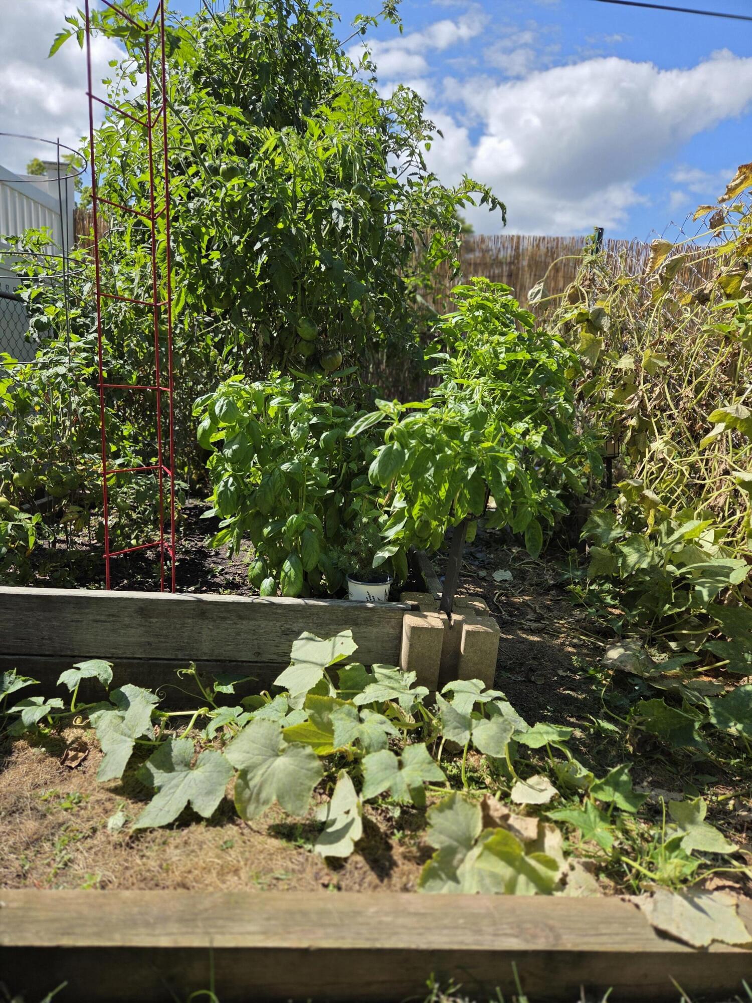 1212 7th Street South La Crosse, WI 54601 - Photo 32 of 37 gardens