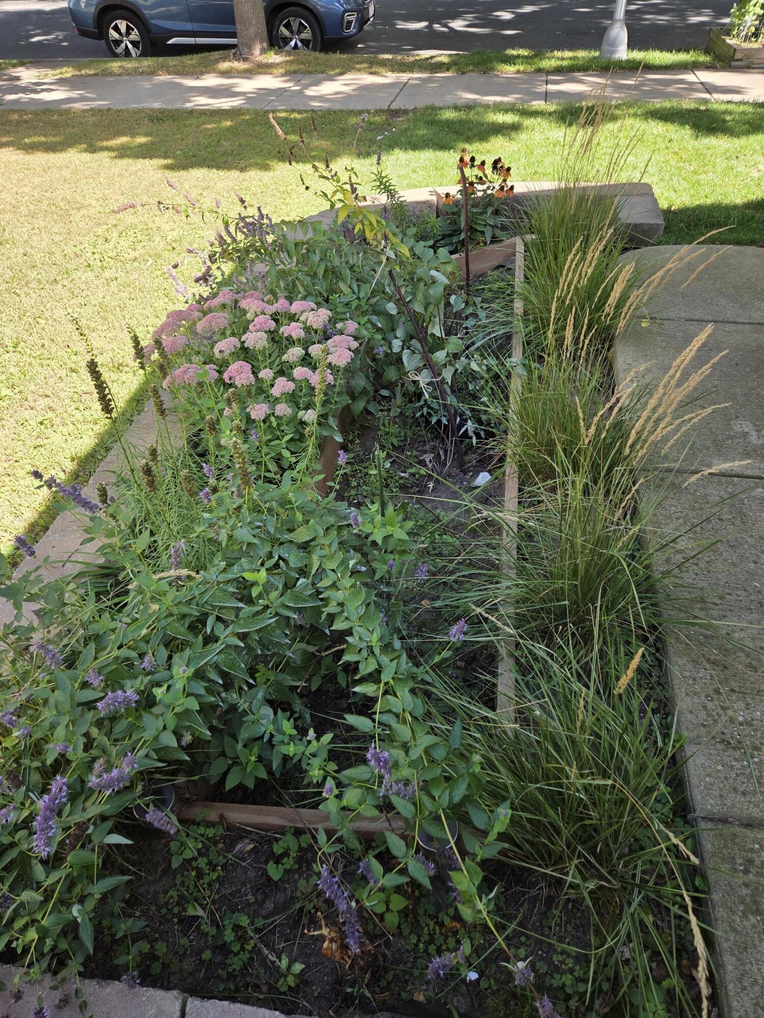 1212 7th Street South La Crosse, WI 54601 - Photo 34 of 37 20250907_140623