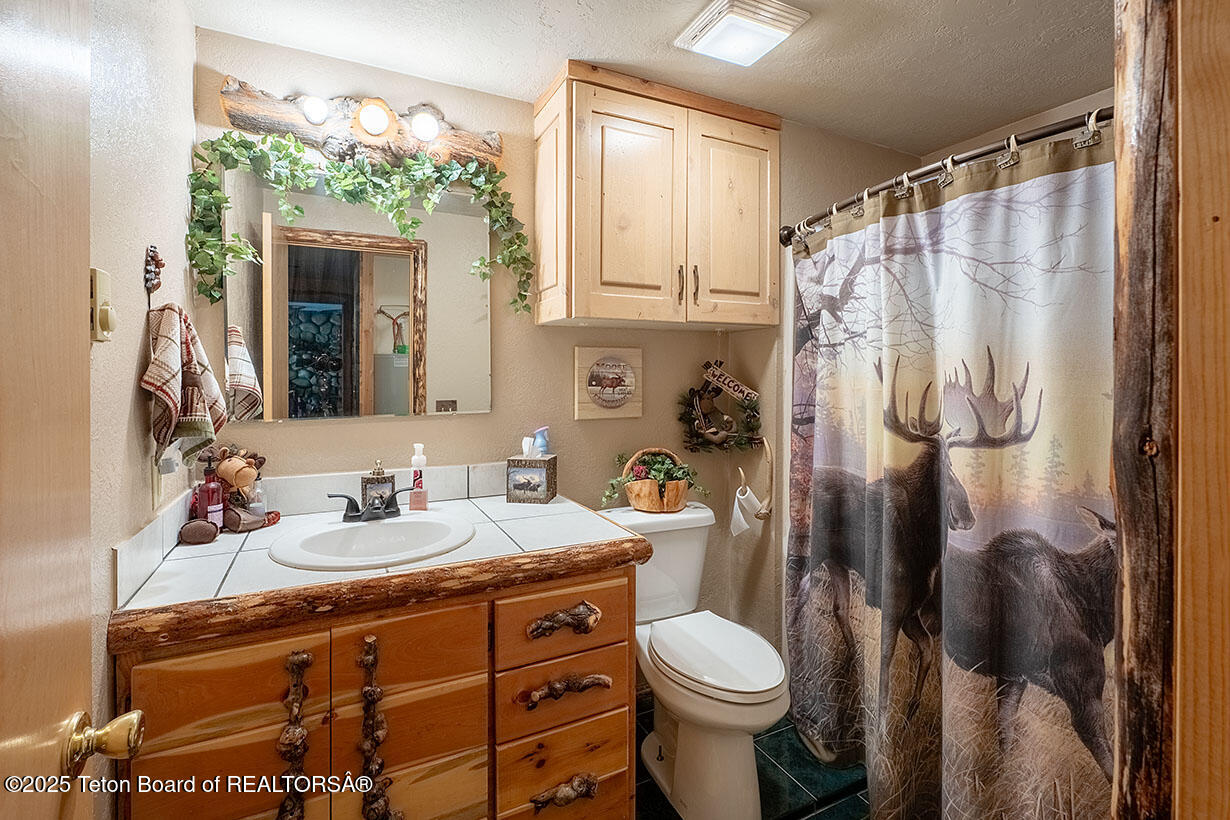 590 Walnut Drive Star Valley Ranch, WY 83127 - Photo 26 of 42 Clark int 4131