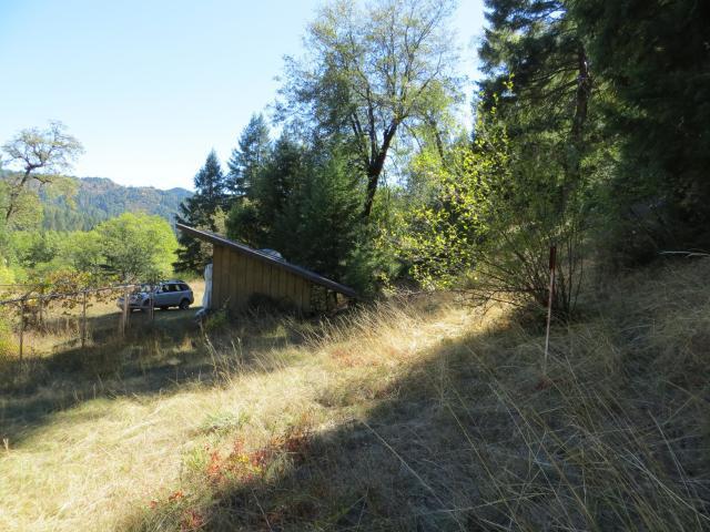 2500 Van Duzen Road Bridgeville, CA 95526 - Photo 12 of 48