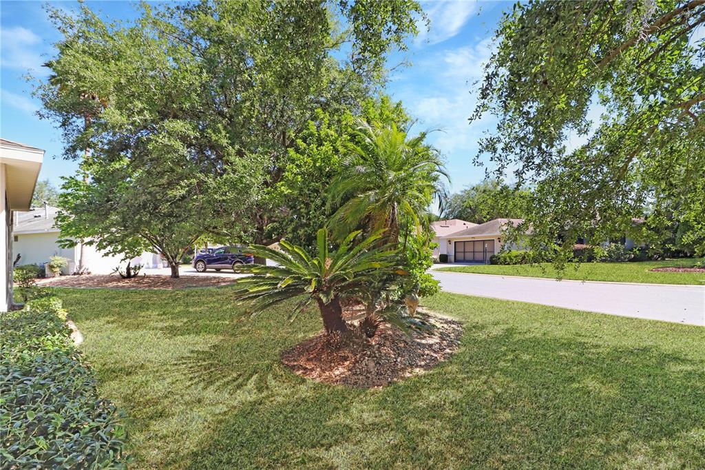 20631 Prince Ranier Place Leesburg, FL 34748 - Photo 31 of 49