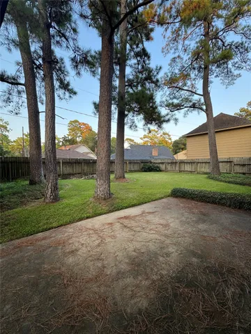a view of a yard with palm tree