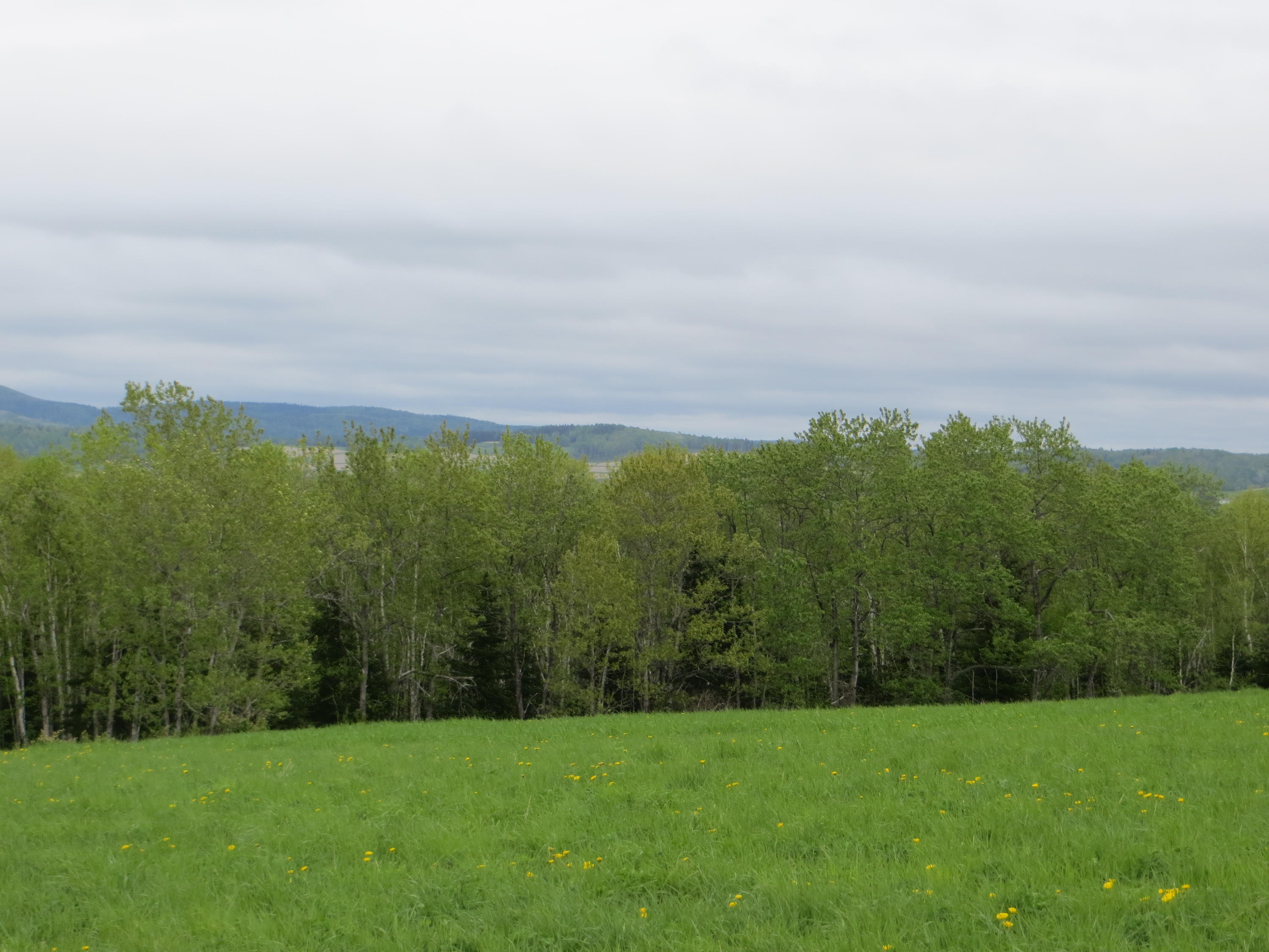 112 Ramsey Road Fort Kent, ME 04743 - Photo 6 of 20 IMG_9135
