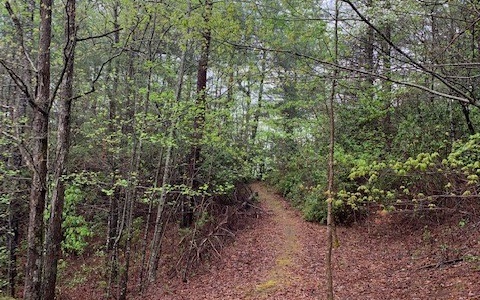 Additional View