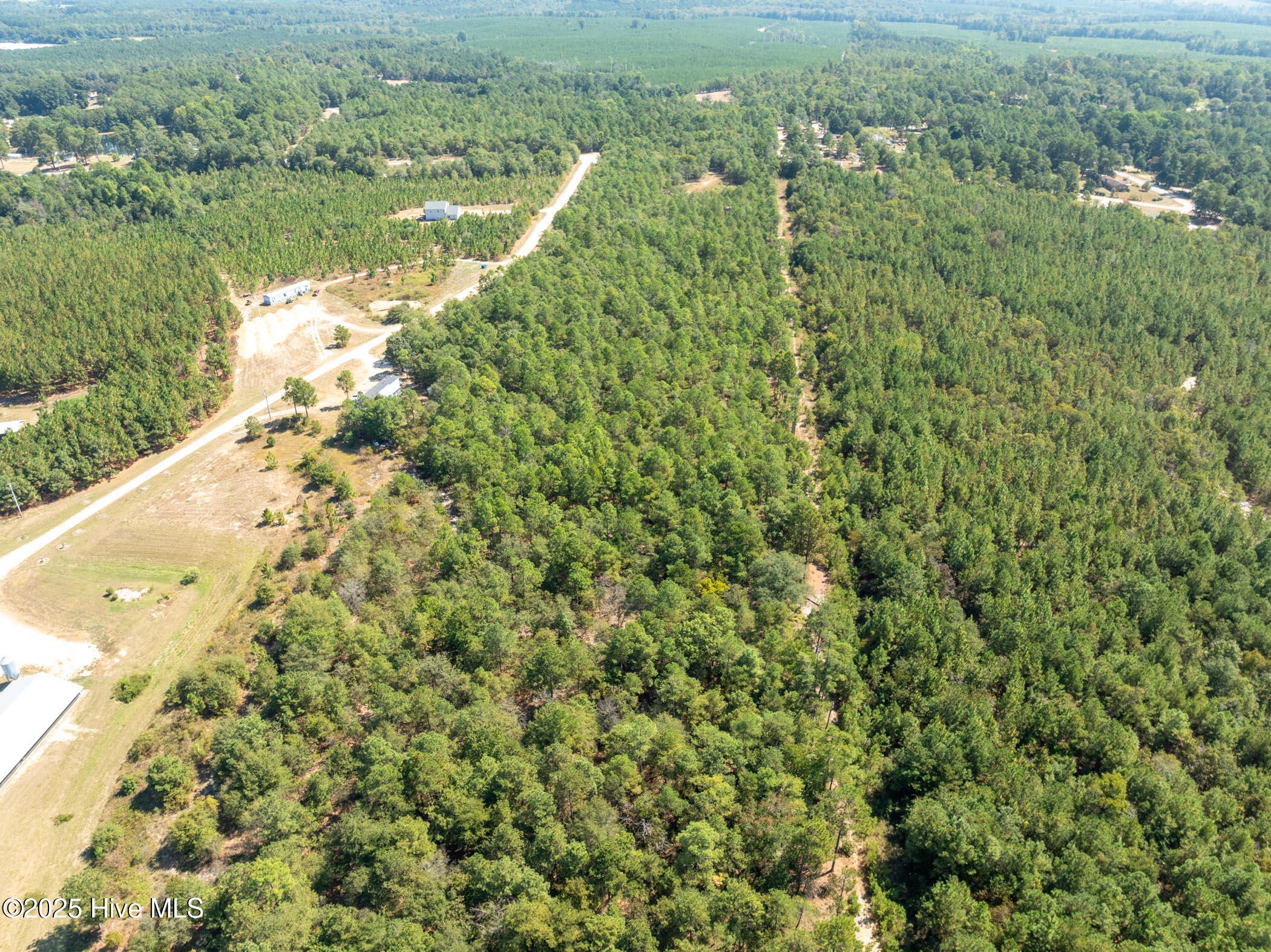 3 Green Lake Road Ellerbe, NC 28338 - Photo 11 of 18 DJI_0619