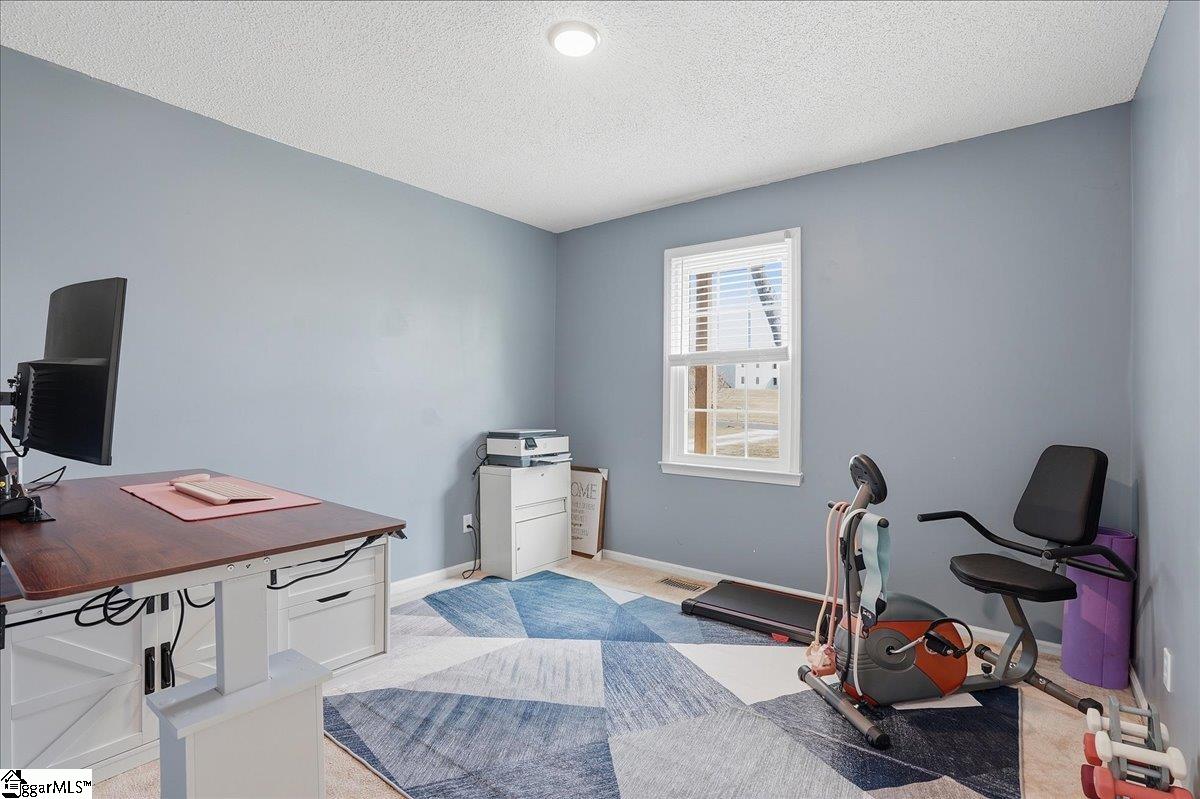 237 Upland View Drive Boiling Springs, SC 29316 - Photo 12 of 23