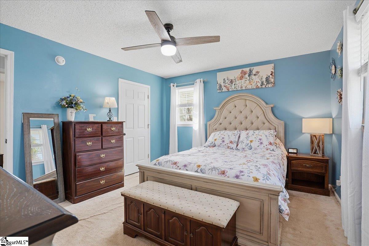 237 Upland View Drive Boiling Springs, SC 29316 - Photo 9 of 23