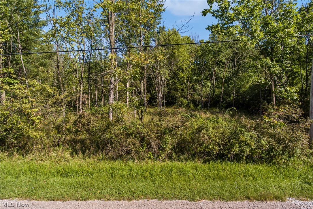 Everett Road Akron, OH 44333 - Photo 1 of 7 Gallery Image 1