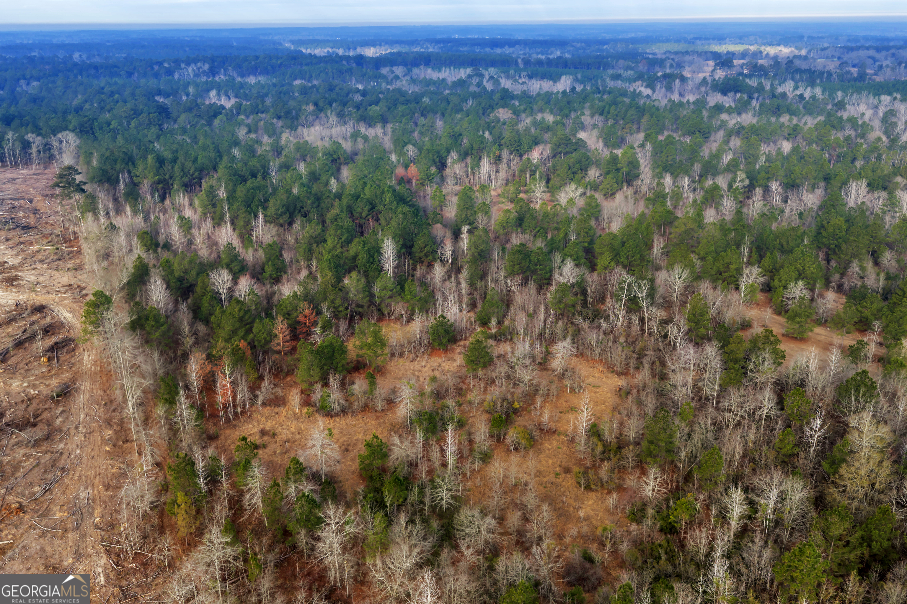 241 Foskey Cemetery Road Adrian, GA 31002 - Photo 75 of 95 a view of a city with lush green forest