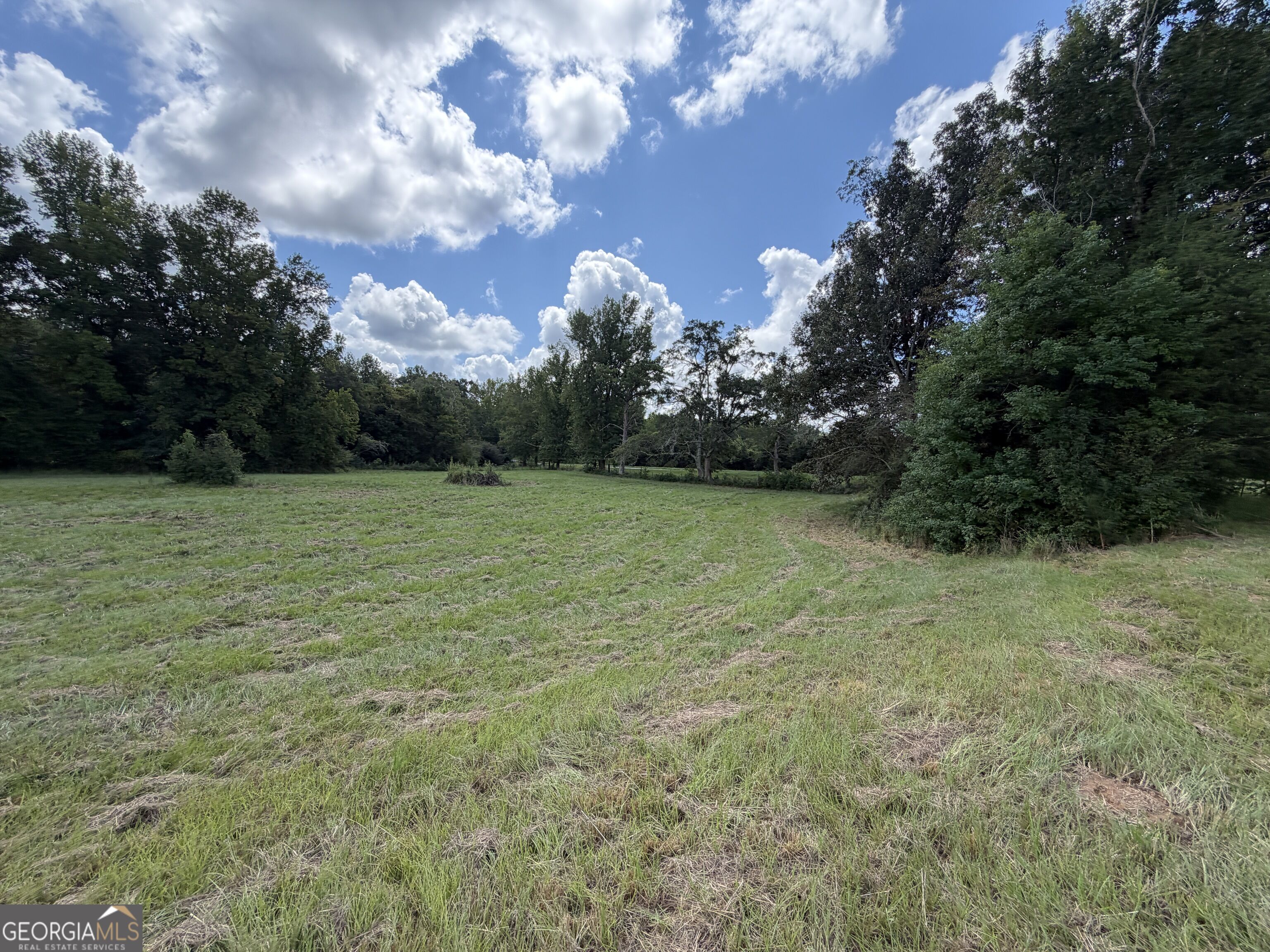 7.65-acres Baker Road Shiloh, GA 31826 - Photo 13 of 24 Gallery Image 13