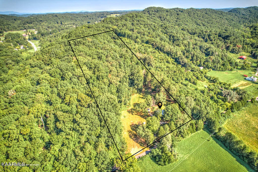 9519 Pedigo Road Powell, TN 37849 - Photo 28 of 29 Gallery Image 28