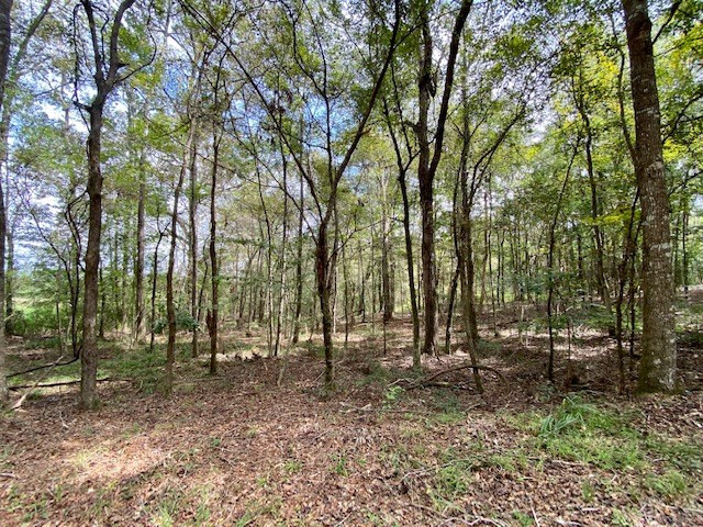 4234 Judge Road Gloster, MS 39638 - Photo 6 of 14 Photo 6