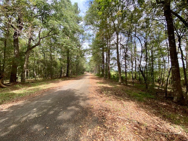 4234 Judge Road Gloster, MS 39638 - Photo 7 of 14 Photo 7