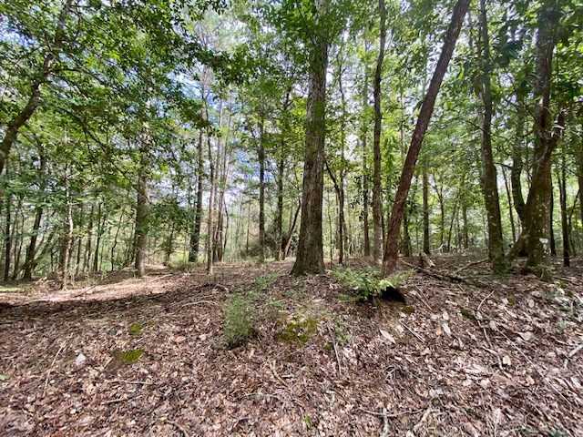 4234 Judge Road Gloster, MS 39638 - Photo 8 of 14 Photo 8