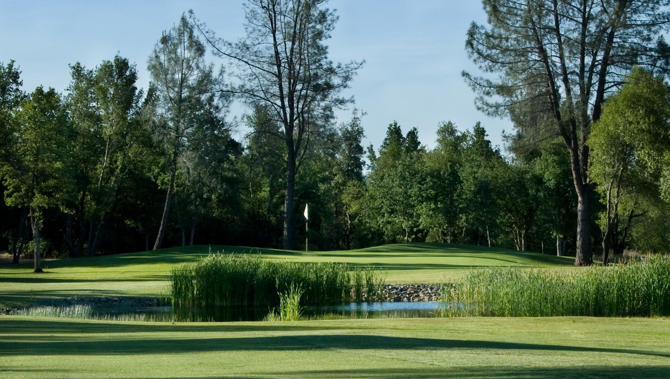 6014 Mid Drive Trail Redding, CA 96003 - Photo 13 of 15 a view of a golf course