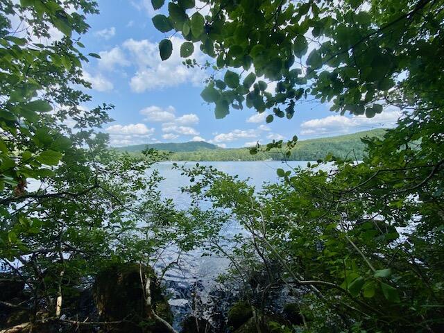 15-ac Colcord Pond Road Porter, ME 04068 - Photo 1 of 10 IMG_5885 (1)