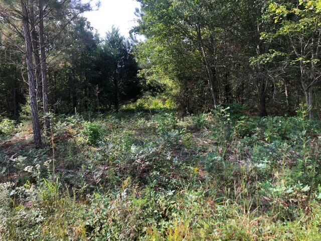 10 Athens Road Calhoun, TN 37309 - Photo 13 of 15 new 10 7