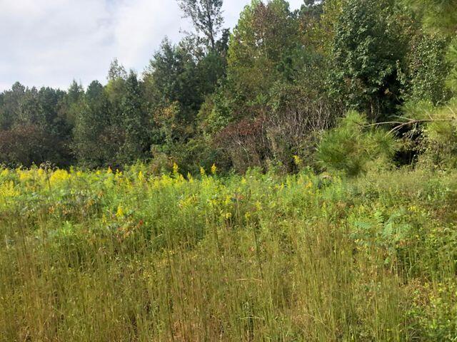 10 Athens Road Calhoun, TN 37309 - Photo 14 of 15 new 10 field