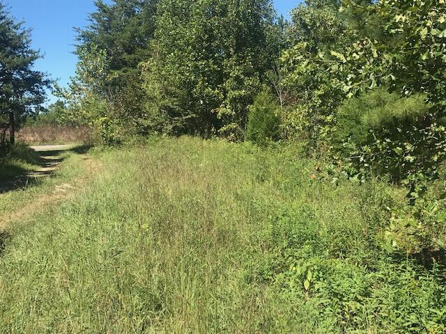 10 Athens Road Calhoun, TN 37309 - Photo 5 of 15 Chestuee 10 access
