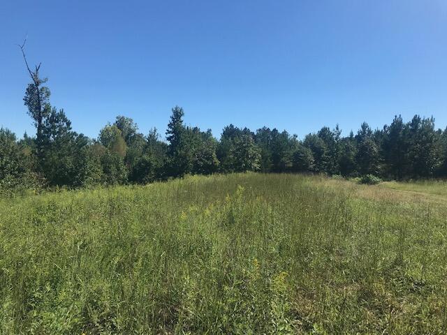 10 Athens Road Calhoun, TN 37309 - Photo 6 of 15 Chestuee 10 field