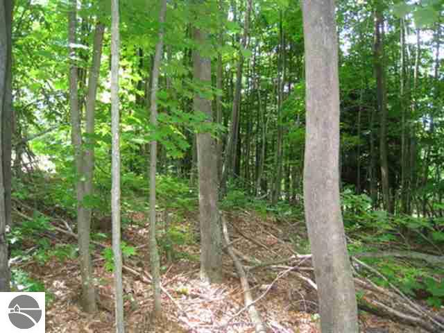 11606 Shippy Road Southwest Fife Lake, MI 49633 - Photo 21 of 25 1728682-20.JPG