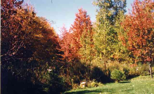 3 Ritannie Court Colonie, NY 12110 - Photo 11 of 11 Photo 11