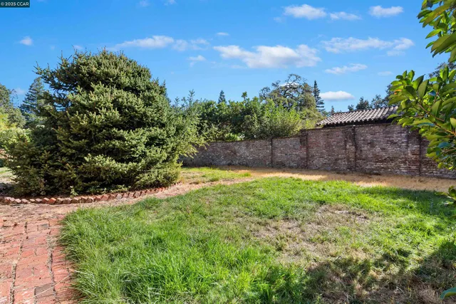a view of a yard with palm trees