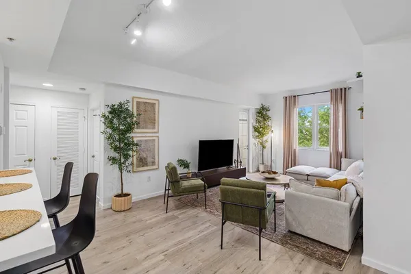 a living room with furniture potted plant a window and a flat screen tv