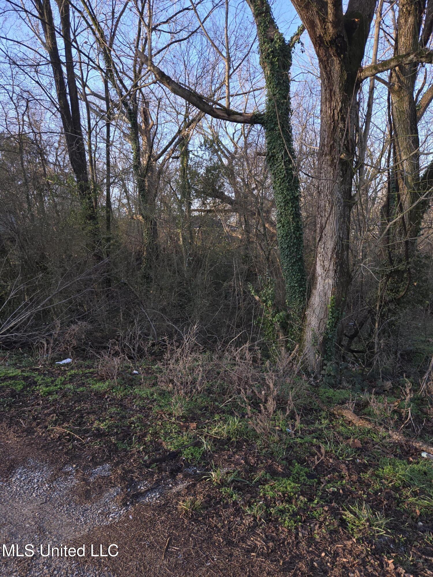 Cochron Street Holly Springs, MS 38635 - Photo 11 of 14 20250127_081910 (1)