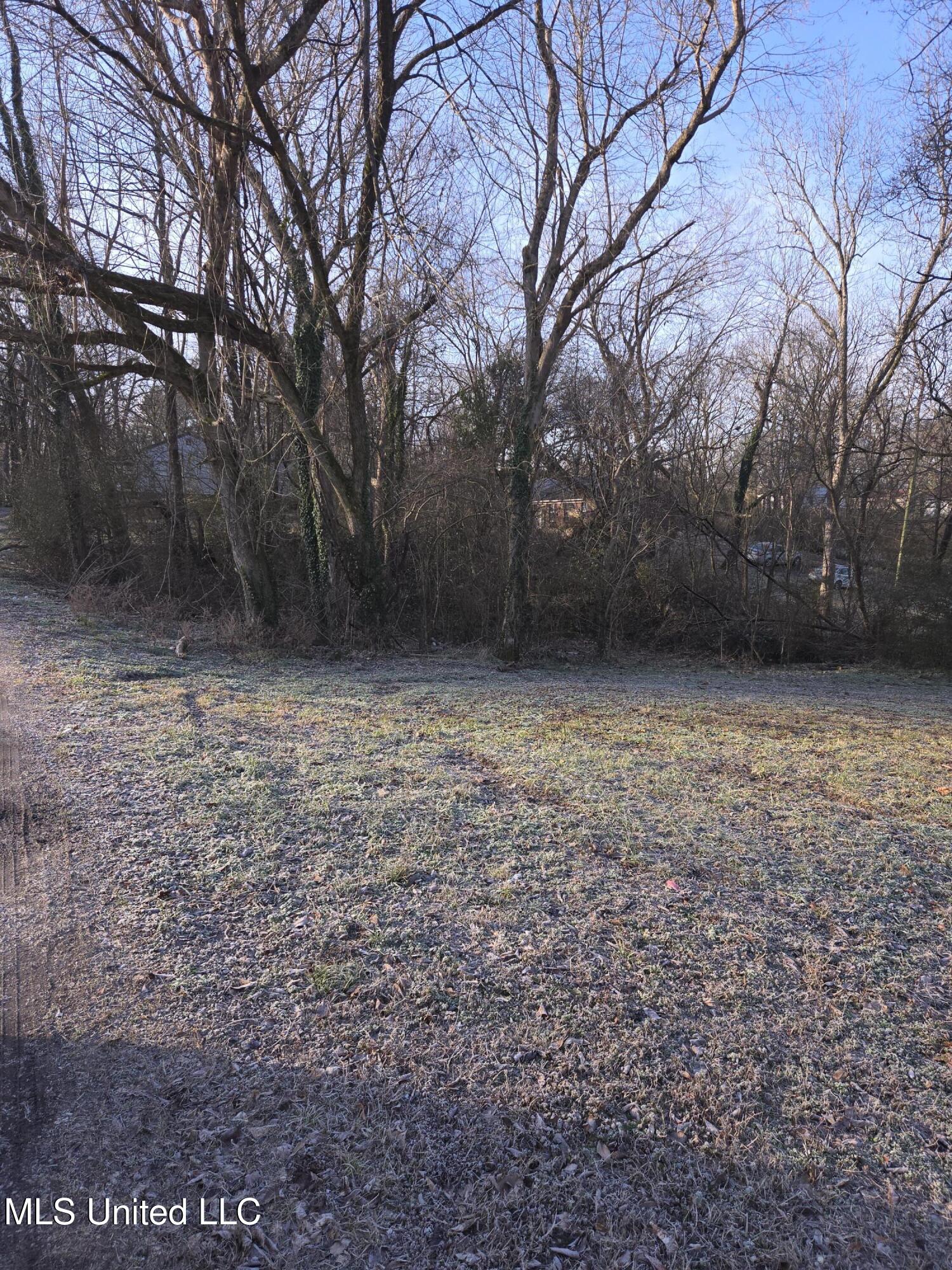 Cochron Street Holly Springs, MS 38635 - Photo 13 of 14 20250128_082144