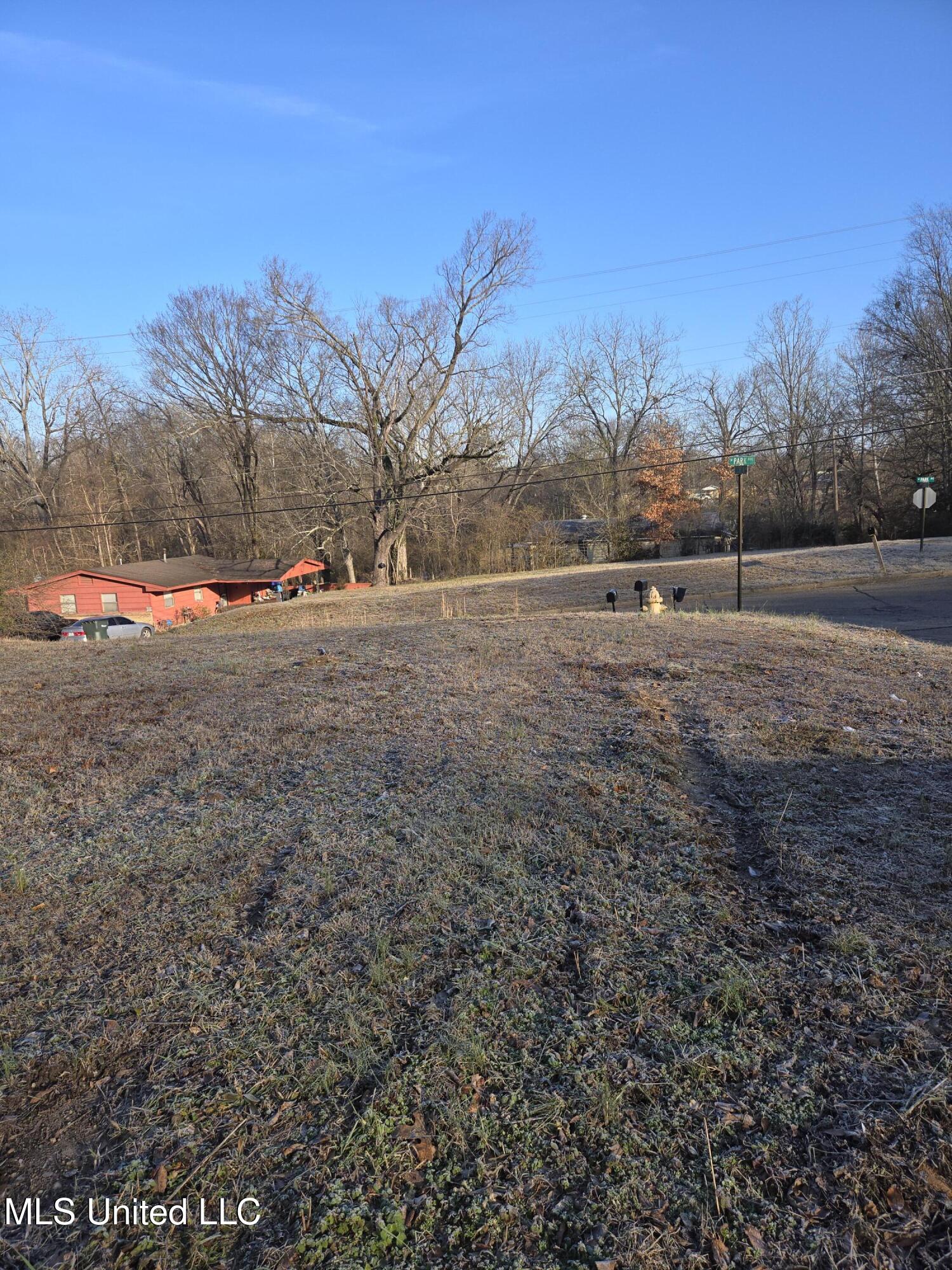 Cochron Street Holly Springs, MS 38635 - Photo 14 of 14 20250128_082216