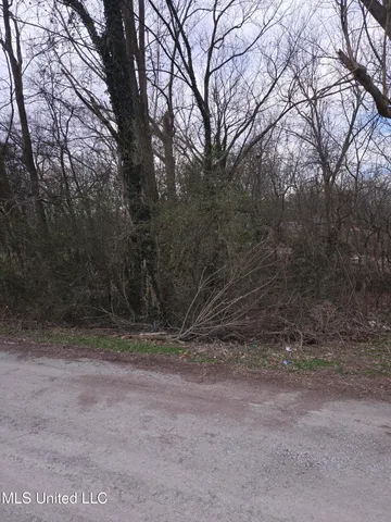 $22,000 | Cochron Street, Holly Springs, MS 38635