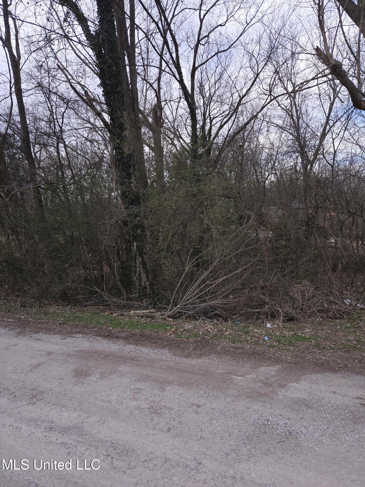 Cochron Street Holly Springs, MS 38635 - Photo 3 of 14 20250121_095752