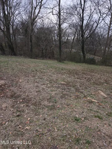 $22,000 | Cochron Street, Holly Springs, MS 38635