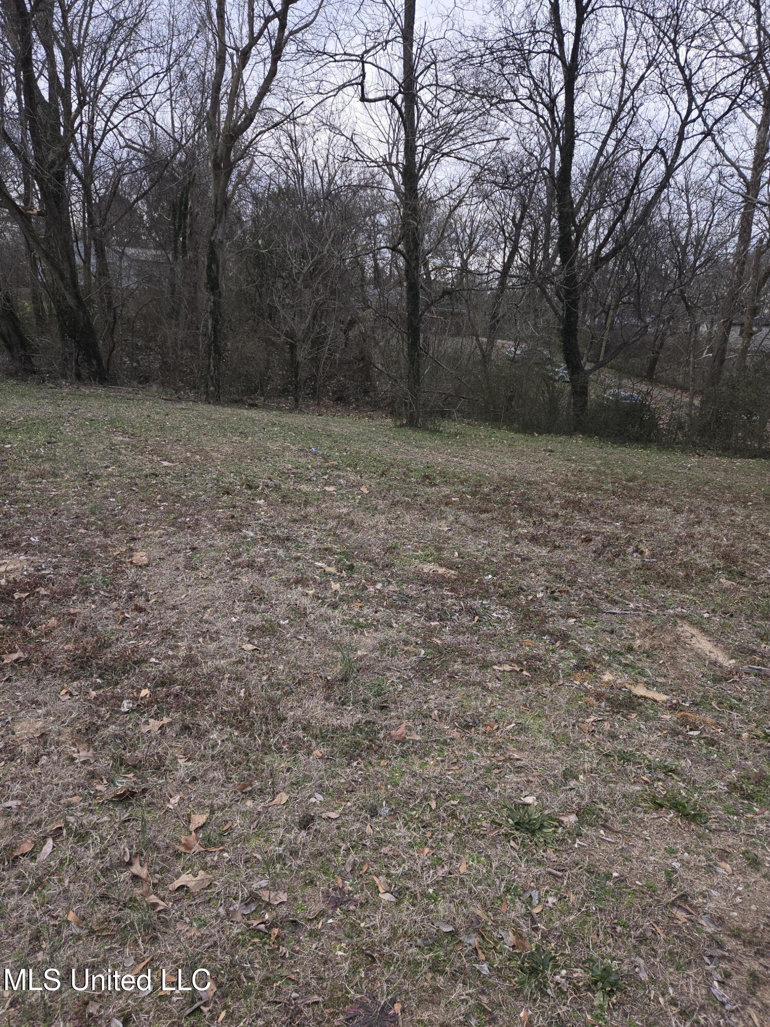 Cochron Street Holly Springs, MS 38635 - Photo 4 of 14 20250121_095932