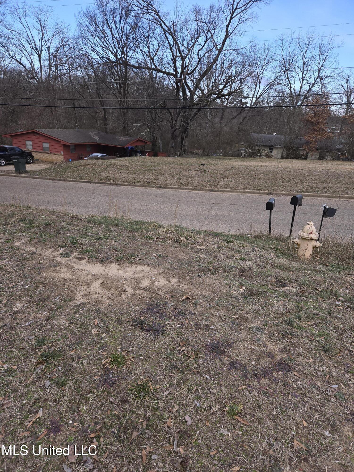 Cochron Street Holly Springs, MS 38635 - Photo 5 of 14 20250121_095943