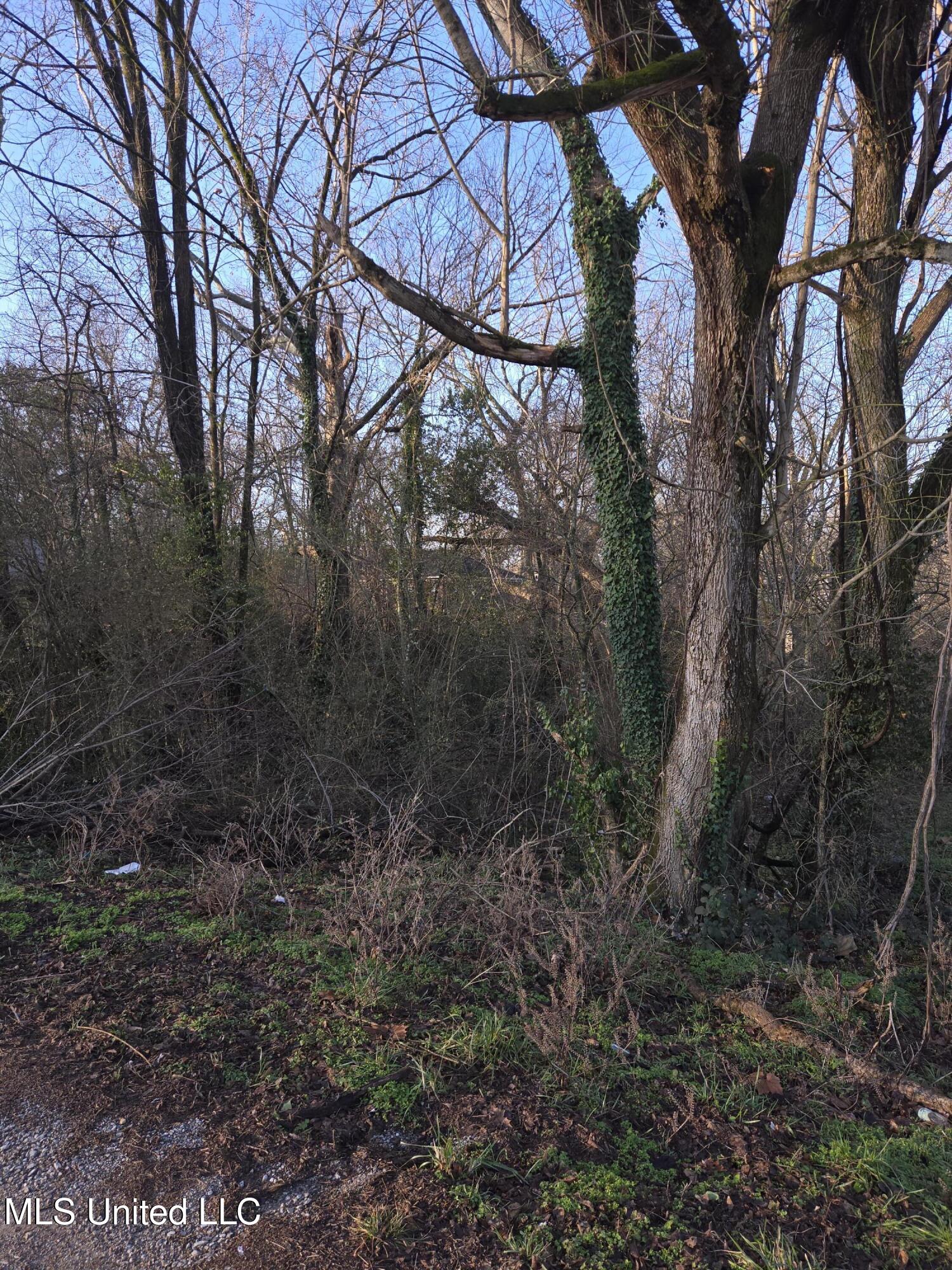 Cochron Street Holly Springs, MS 38635 - Photo 8 of 14 20250127_081856 (1)