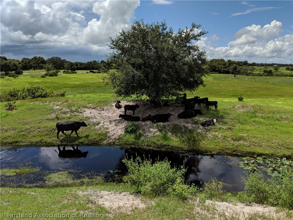 2653 Snyder Road Sebring, FL 33870 - Photo 20 of 29 Gallery Image 20
