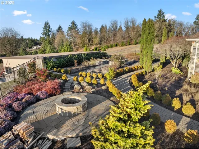 a view of a backyard with plants and a patio